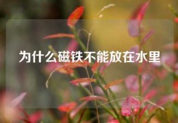 為什么磁鐵不能放在水里