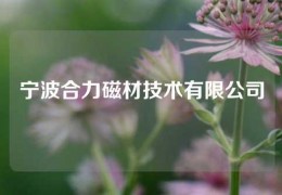 寧波合力磁材技術有限公司