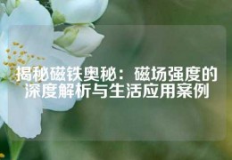 揭秘磁鐵奧秘：磁場強度的深度解析與生活應用案例