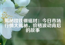 揭秘釹鐵硼磁材：今日市場行情大揭秘，價格波動背后的故事