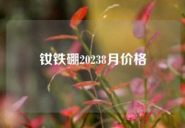 釹鐵硼20238月價格