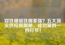 釹鐵硼磁鐵哪家強？五大頂尖供應商揭秘，成功案例一網打盡！