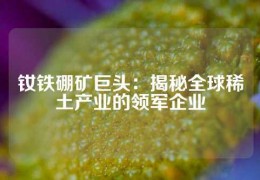 釹鐵硼礦巨頭：揭秘全球稀土產(chǎn)業(yè)的領(lǐng)軍企業(yè)