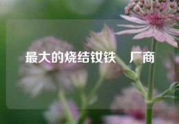 最大的燒結釹鐵錋廠商