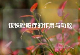 釹鐵硼磁療的作用與功效