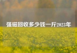 強磁回收多少錢一斤2023年