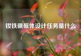 釹鐵硼磁體設(shè)計(jì)任務(wù)是什么