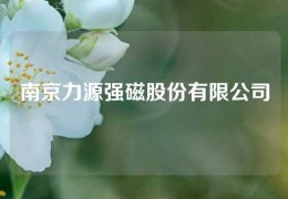 南京力源強(qiáng)磁股份有限公司