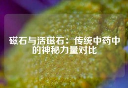 磁石與活磁石：傳統(tǒng)中藥中的神秘力量對(duì)比