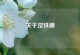 關于汝鐵硼