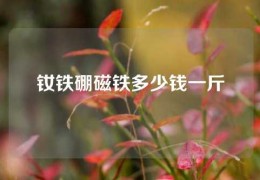 釹鐵硼磁鐵多少錢一斤