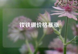 釹鐵硼價格暴漲