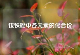 釹鐵硼中各元素的化合價