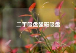 二手吸盤強(qiáng)磁吸盤