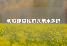 釹鐵硼磁鐵可以用水煮嗎