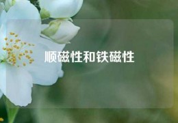 順磁性和鐵磁性