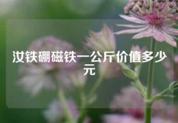 汝鐵硼磁鐵一公斤價值多少元