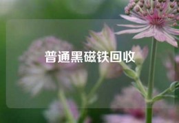 普通黑磁鐵回收