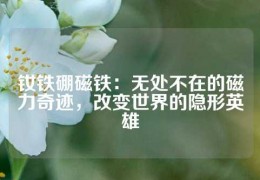 釹鐵硼磁鐵：無處不在的磁力奇跡，改變世界的隱形英雄