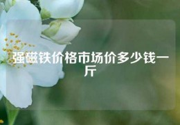 強(qiáng)磁鐵價(jià)格市場(chǎng)價(jià)多少錢(qián)一斤