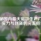 探秘國(guó)內(nèi)最大磁鐵生產(chǎn)廠家：實(shí)力與創(chuàng)新的完美結(jié)合