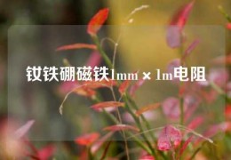 釹鐵硼磁鐵1mm×1m電阻