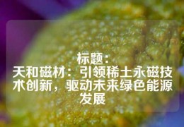 標(biāo)題：
天和磁材：引領(lǐng)稀土永磁技術(shù)創(chuàng)新，驅(qū)動(dòng)未來(lái)綠色能源發(fā)展