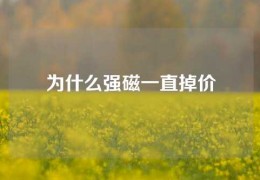 為什么強(qiáng)磁一直掉價