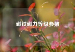 磁鐵磁力等級參數