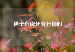 稀土永磁還有行情嗎