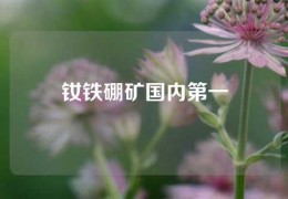 釹鐵硼礦國內第一