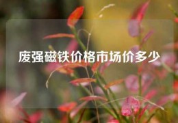 廢強磁鐵價格市場價多少