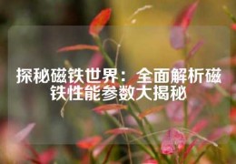 探秘磁鐵世界：全面解析磁鐵性能參數(shù)大揭秘