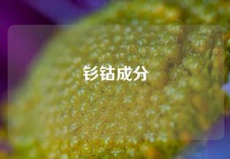 釤鈷成分