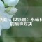 釤鐵氮 vs 釹鐵硼：永磁材料的巔峰對決