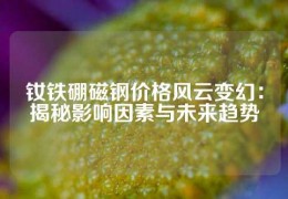 釹鐵硼磁鋼價(jià)格風(fēng)云變幻：揭秘影響因素與未來趨勢