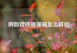 例如釹鐵硼強磁怎么樣的