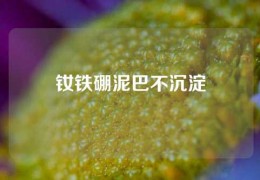 釹鐵硼泥巴不沉淀