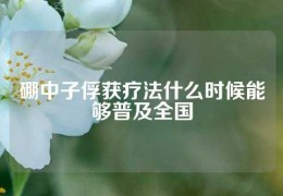 硼中子俘獲療法什么時候能夠普及全國