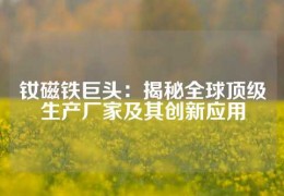 釹磁鐵巨頭：揭秘全球頂級生產廠家及其創新應用