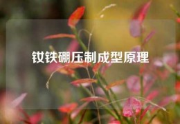 釹鐵硼壓制成型原理