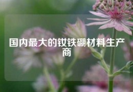 國內最大的釹鐵硼材料生產商