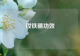 釹鐵硼功效