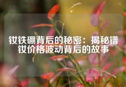 釹鐵硼背后的秘密：揭秘鐠釹價格波動背后的故事