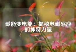 磁能變電能：揭秘電磁感應的神奇力量