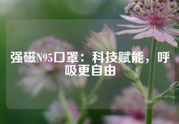 強磁N95口罩：科技賦能，呼吸更自由