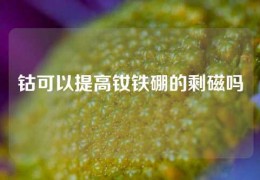 鈷可以提高釹鐵硼的剩磁嗎