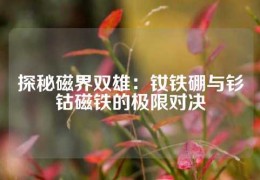 探秘磁界雙雄：釹鐵硼與釤鈷磁鐵的極限對決