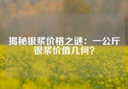 揭秘銀漿價格之謎：一公斤銀漿價值幾何？