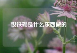 釹鐵硼是什么東西做的